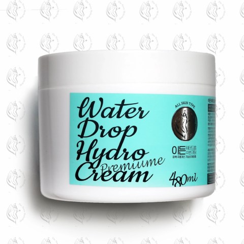 韓國IDUNN 極水潤面霜 480毫升