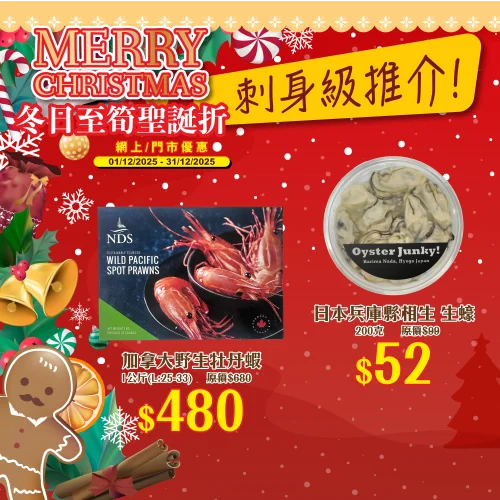 20251201-1231_Christmas_promo_Web_re1-02